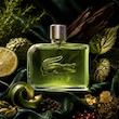 عطر ادکلن لاگوست اسنشیال-سبز | Lacoste Essential