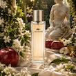 عطر ادکلن لاگوست زنانه | Lacoste Pour Femme