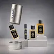 عطر ادکلن پاکو رابان اینوکتوس پلاتینیوم | Paco Rabanne Invictus Platinum