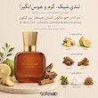 نت های عطر Jo Malone Ginger Beer Cologne شامل زنجبیل سیترون آمیریس دارچین بلوط مشک سفید و وتیور