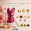 نت های عطر Carolina Herrera La Bomba شامل پیتایا آناناس ماندارین فرانجیپانی پیونی یاس وانیل و پچولی