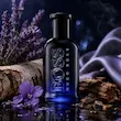 عطر ادکلن هوگو باس باتلد نایت | Hugo Boss Bottled Night