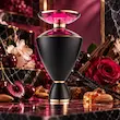 فضای زنانه و آلبالویی عطر بولگاری آمارنا