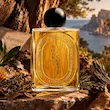 فضای گرم و چوبی عطر دیپتیک بویس کورس