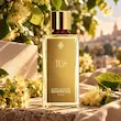 عطر ادکلن مارک آنتونی تیلیا | Marc Antoine Barrois Tilia
