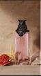 عطر زنانه پوزس ابسلوت 