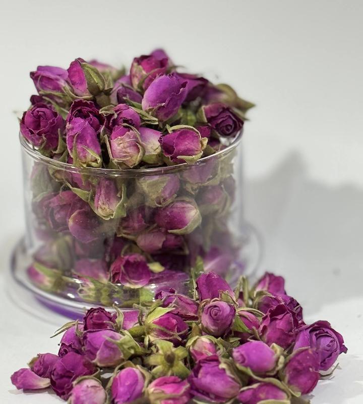 غنچه گل محمدی