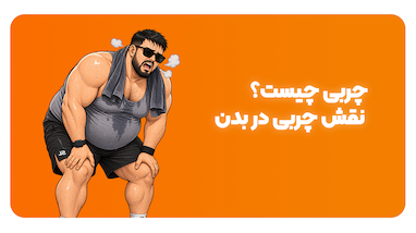چربی چیست؟ نقش چربی در بدن