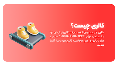 کالری چیست؟ محاسبه کالری مورد نیاز، BMR و TDEE