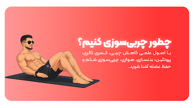 چطور چربی‌سوزی کنیم؟ | راهنمای علمی کاهش چربی بدن