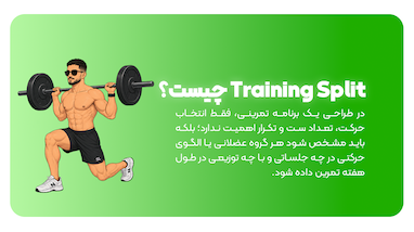 Training Split چیست؟ | راهنمای تقسیم‌بندی تمرین