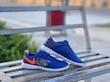 کفش فوتسال نایک لونارگتو Nike Lunar Gato