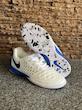 کفش فوتسال نایک لونارگتو Nike Lunar Gato