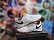 کفش فوتسال نایک لونارگتو Nike Lunar Gato