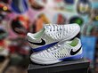 کفش فوتسال نایک لونارگتو Nike Lunar Gato