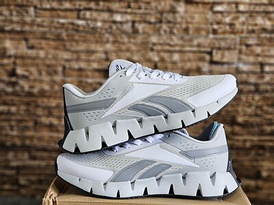 کتونی ریبوک Reebok Zig Dynamica