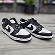 کتونی نایک Nike Dunk Low Panda