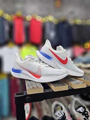 کتونی نایک زوم پگاسوس Nike Zoom Pegasus 35