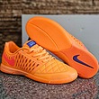 کفش فوتسال نایک لونارگتو Nike Lunar Gato