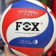 توپ والیبال fox زنبوری