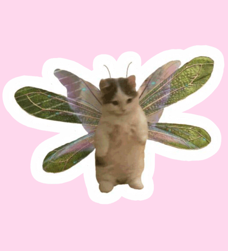 استیکر میم meme65