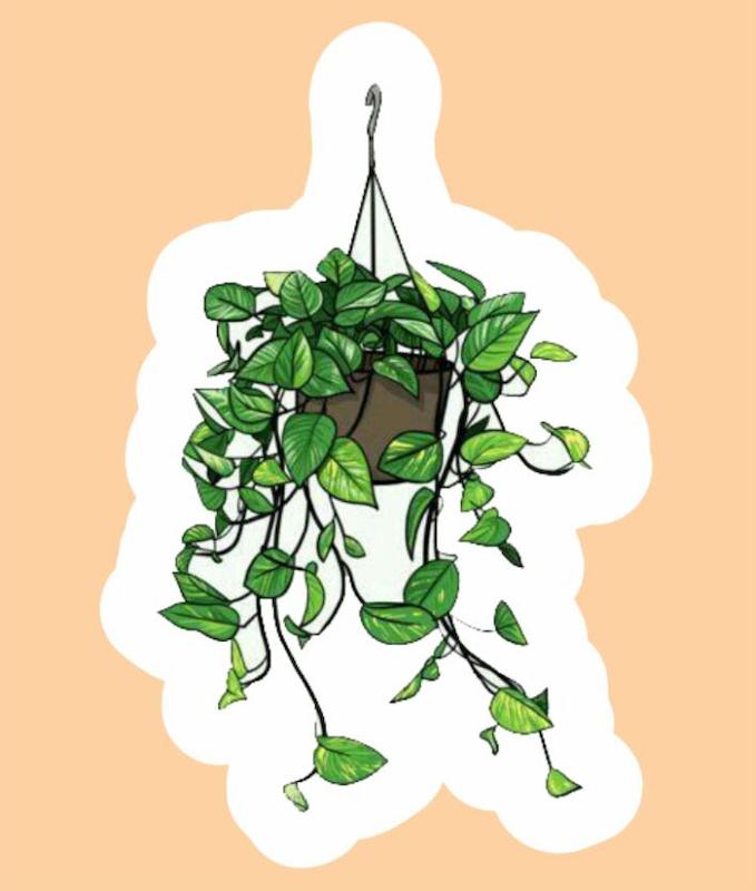 استیکر گل و گیاه Plants8