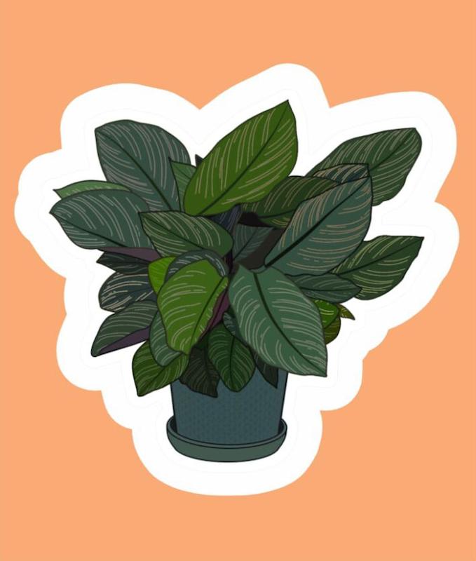 استیکر گل و گیاه Plants11