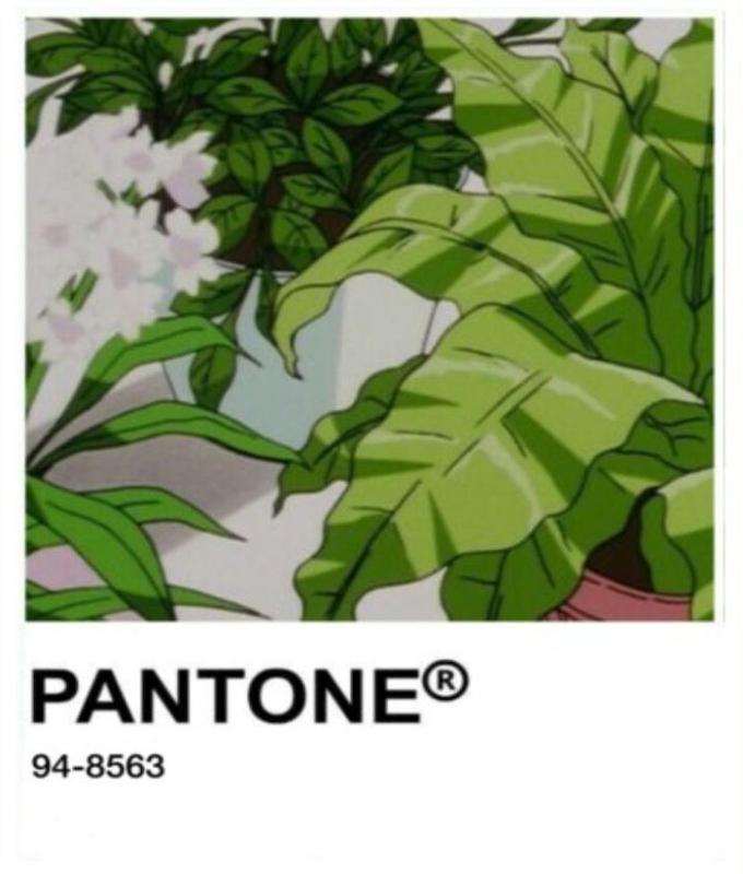 استیکر گل و گیاه Plants18