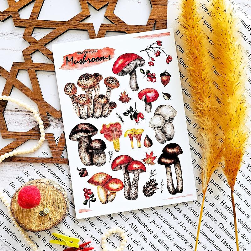 طرح قارچ کد 181