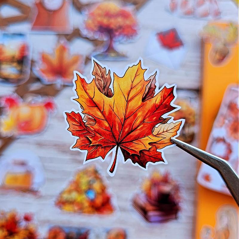 پک پاییزه کد ۹۶