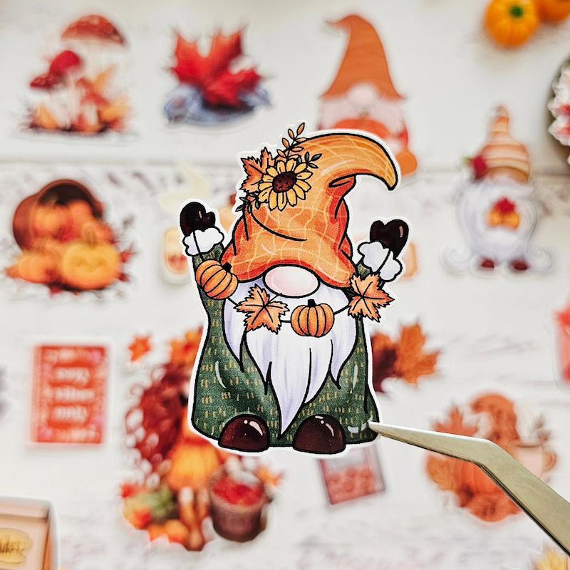 پک پاییزی کد ۵۰۷