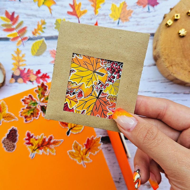 پک پاییزی کد ۸۱