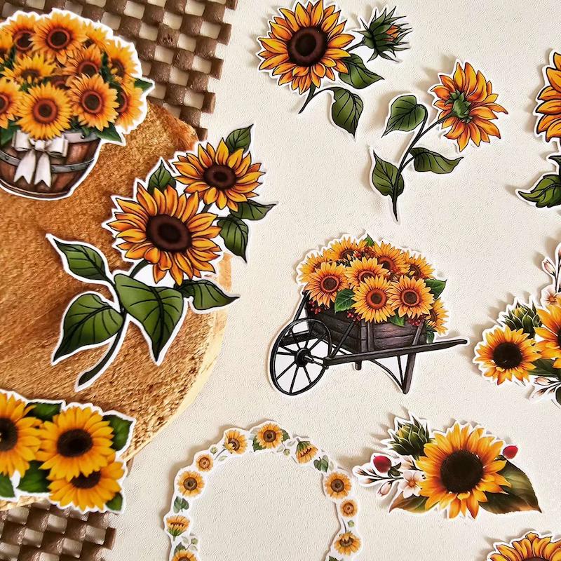 پک افتابگردون کد : ۶۱