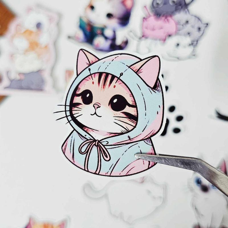 پک‌ گربه کد 511