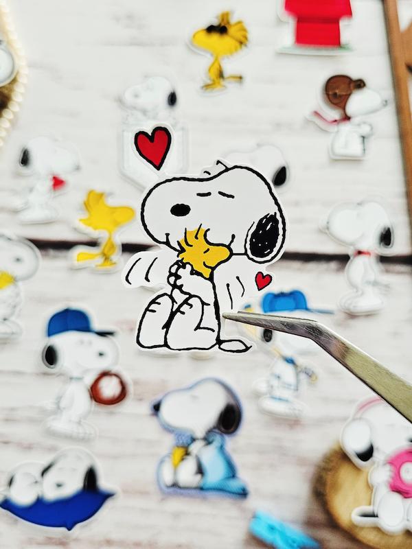 پک اسنوپی کد 505