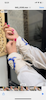 مچ بند و کمربند سوزندوزی