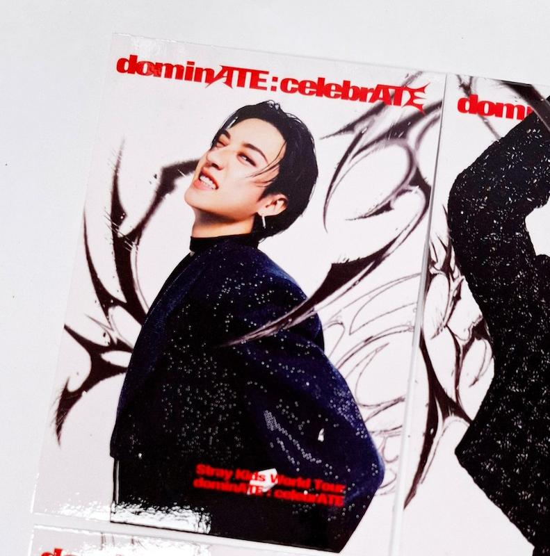  پک پوستر دامینیت