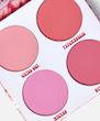 پالت رژگونه ی bh cosmetics