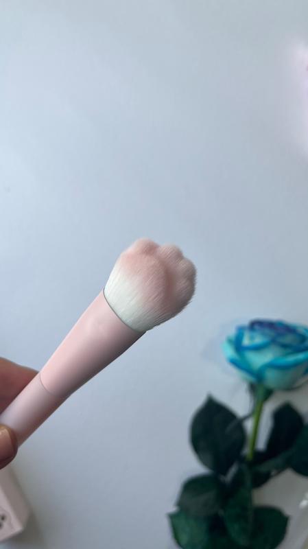 براش پنجه گربه ای