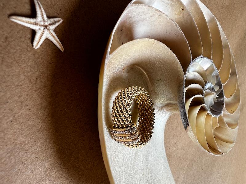 انگشتر جسیکا کد 1308