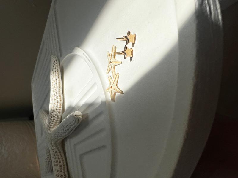 گوشواره ستاره ریز کد 1341