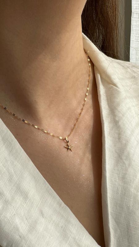 آویز ستاره دریایی 1528