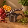 آب انار و مرکبات گیری دستی سایز کوچک
