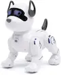 ربات کنترلی سگ هوشمند RC Stunt Dog | ربات سگ Interactive با کنترل از راه دور، حرکات نمایشی، موزیک و نور LED | بهترین اسباب بازی رباتیک کودک