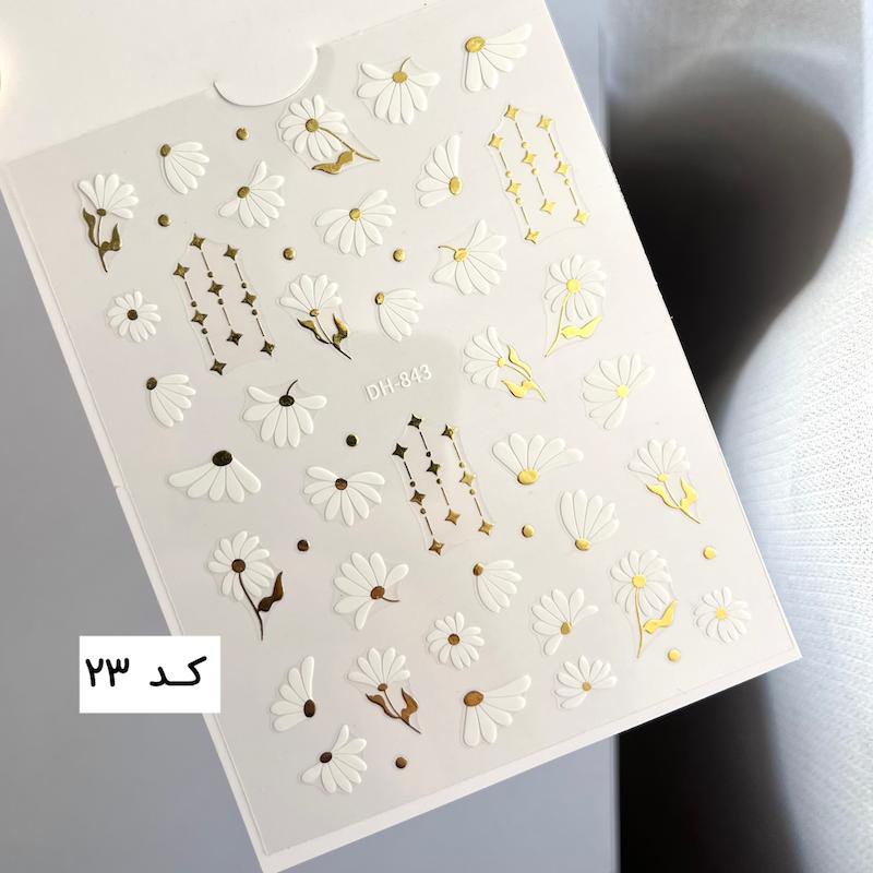 لنز ناخن برجسته روسی 
