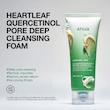 فوم شستشوی عمیق منافذ آنوا مدل Heartleaf + BHA