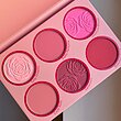 پالت رژگونه شیگلم مدل  FLORAL FLUSH BLUSH PALETTE 