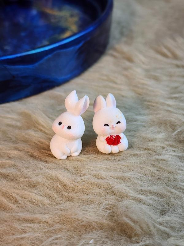 قالب خرگوش فانتزی