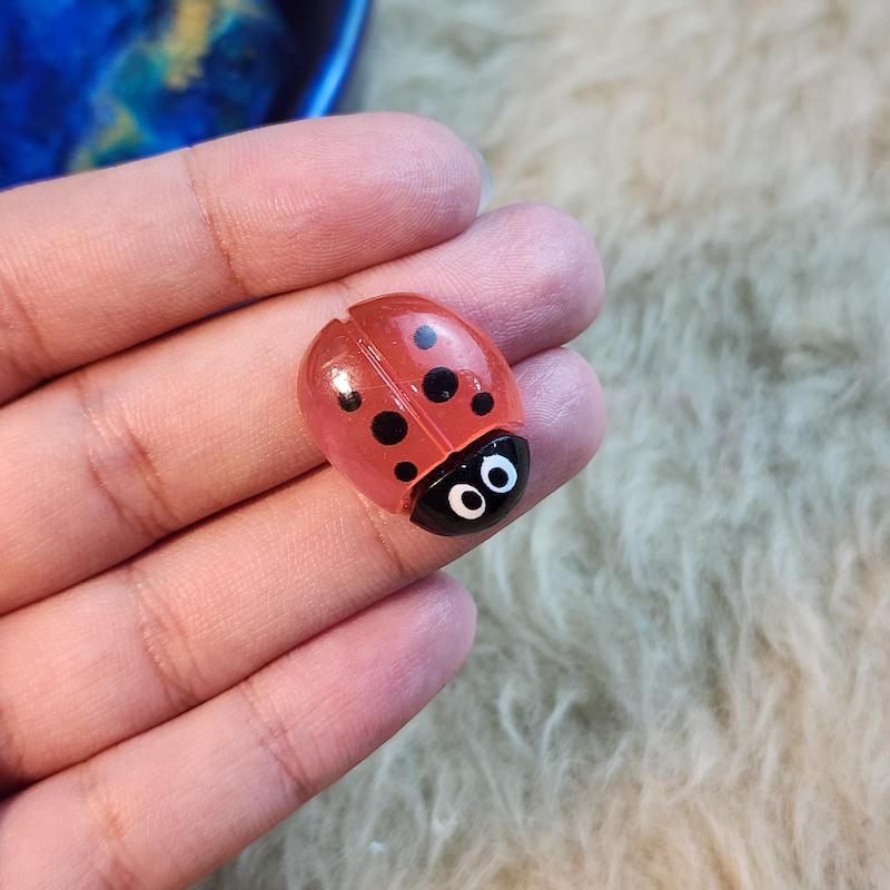 قالب کفشدوزک