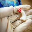 قالب سیلیکونی قارچ حجمی تکی مدلB